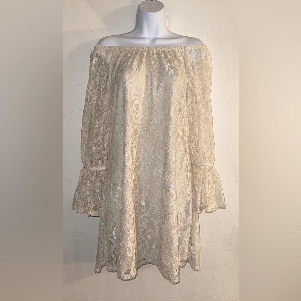 Fashionomics Lace Mini Dress